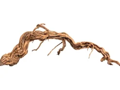Aquriendekoration Curl-Holz S