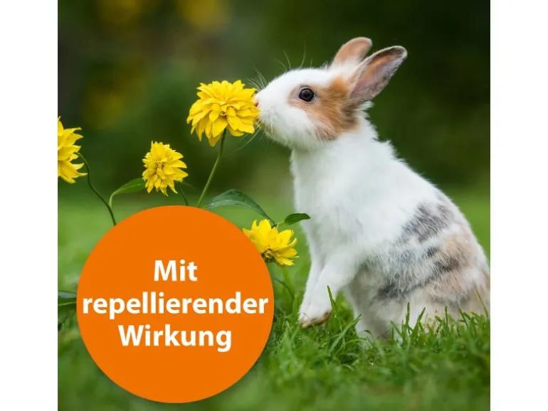 Ardap Spot-On für Kleintiere von 1 - 4 kg