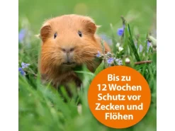 Ardap Spot-On für Kleintiere von 1 - 4 kg