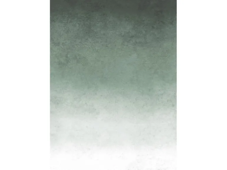 Art for the Home Fototapete Fading groen 280 x 200 cm