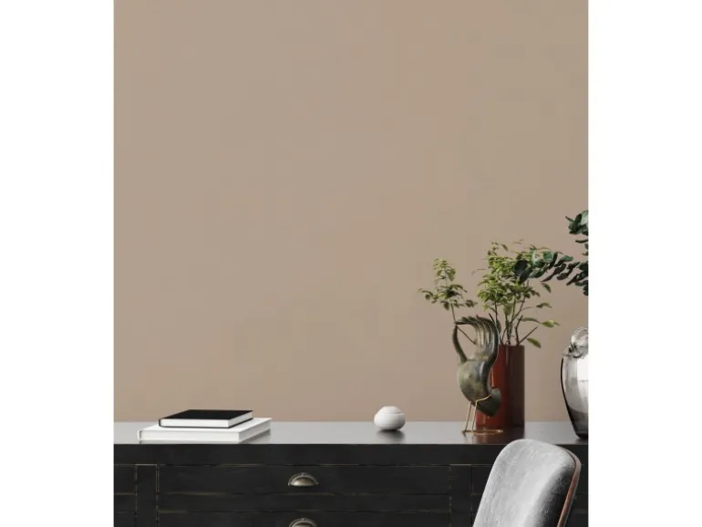 A.S. Creation Vliestapete Uni Leicht Strukturiert 10,05 m x 0,53 m Braun FSC®