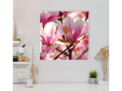Banjado Magnettafel 50x50cm Magnetwand Weiß Aus Metall Magnetpinnwand Pinnwand Inkl. 4 Magnete Motiv Magnolia