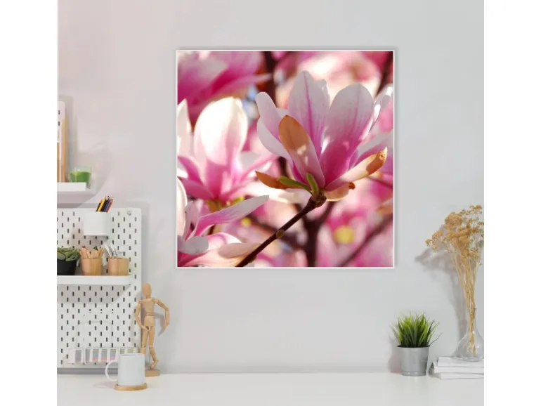 Banjado Magnettafel 50x50cm Magnetwand Weiß Aus Metall Magnetpinnwand Pinnwand Inkl. 4 Magnete Motiv Magnolia