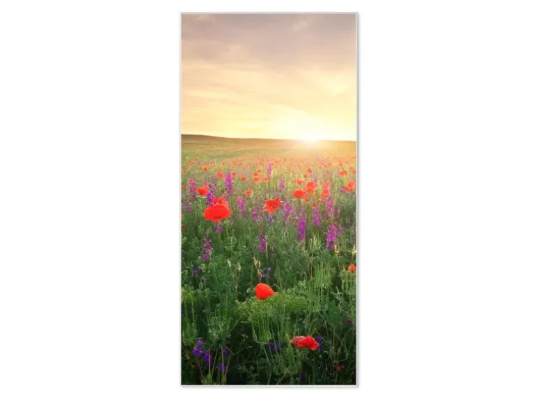 Banjado Magnettafel 37x78cm Magnetwand Weiß Aus Metall Magnetpinnwand Pinnwand Inkl. 4 Magnete Motiv Sommerfeld