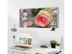 Banjado Magnettafel 78x37cm Magnetwand Weiß Aus Metall Magnetpinnwand Pinnwand Inkl. 4 Magnete Motiv Rosa Rose