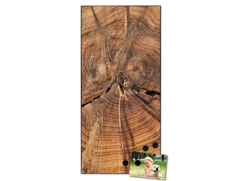 Banjado Magnettafel 37x78cm Magnetwand Schwarz Aus Metall Magnetpinnwand Pinnwand Inkl. 4 Magnete Motiv Jahresringe