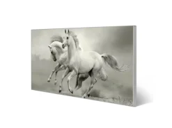 Banjado Magnettafel 78x37cm Magnetwand Silber Aus Metall Magnetpinnwand Pinnwand Inkl. 4 Magnete Motiv Wilde Pferde Sw