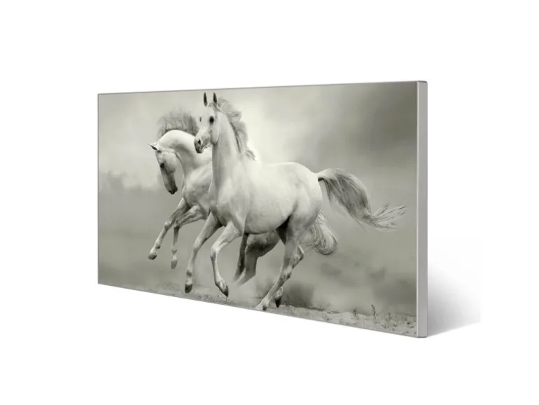 Banjado Magnettafel 78x37cm Magnetwand Silber Aus Metall Magnetpinnwand Pinnwand Inkl. 4 Magnete Motiv Wilde Pferde Sw