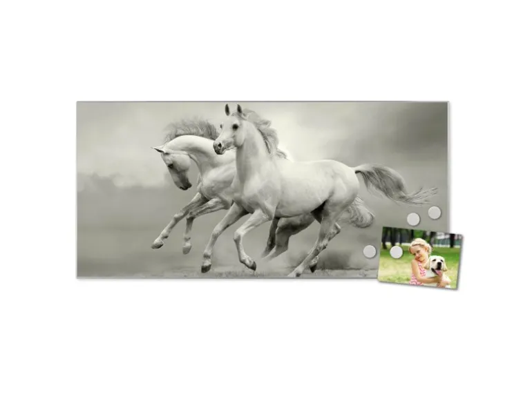 Banjado Magnettafel 78x37cm Magnetwand Silber Aus Metall Magnetpinnwand Pinnwand Inkl. 4 Magnete Motiv Wilde Pferde Sw