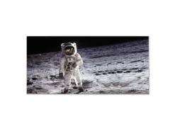 Banjado Magnettafel 78x37cm Magnetwand Silber Aus Metall Magnetpinnwand Pinnwand Inkl. 4 Magnete Motiv Astronaut