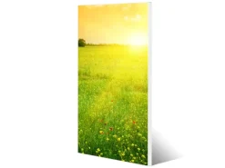 Banjado Magnettafel 37x78cm Magnetwand Weiß Aus Metall Magnetpinnwand Pinnwand Inkl. 4 Magnete Motiv Guten Morgen 2