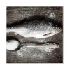 Banjado Magnettafel 50x50cm Magnetwand Weiß Aus Metall Magnetpinnwand Pinnwand Inkl. 4 Magnete Motiv Fisch Und Salz