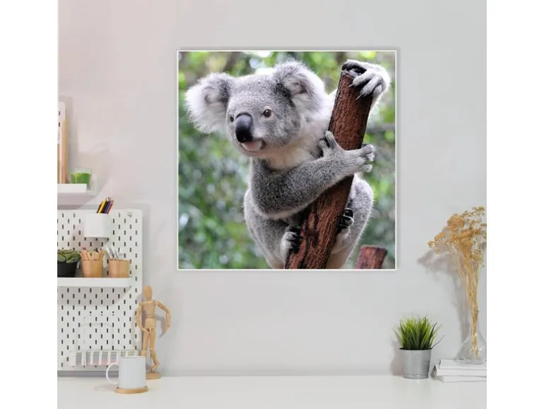 Banjado Magnettafel 50x50cm Magnetwand Weiß Aus Metall Magnetpinnwand Pinnwand Inkl. 4 Magnete Motiv Koala