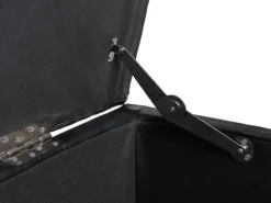 BERLINLODGE Aufbewahrungs-Truhe Sitzbank Lars 45x112x45cm Schwarz Leder & Kunstleder