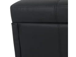BERLINLODGE Aufbewahrungs-Truhe Lars 45x114x45cm Kunstleder Schwarz Matt