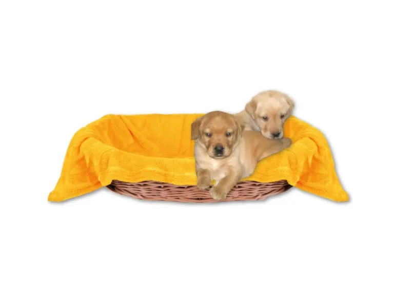 Bestlivings Tierdecke Hundedecke Mikrofaser 60 x 80 cm Hellorange