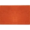 Bestlivings Tierdecke Hundedecke Mikrofaser 70 x 100 cm Terracotte