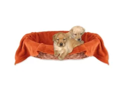 Bestlivings Tierdecke Hundedecke Mikrofaser 70 x 100 cm Terracotte