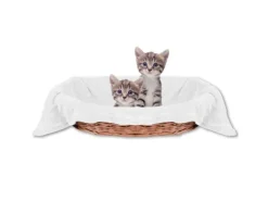 Bestlivings Tierdecke Katzendecke Mikrofaser 60 x 80 cm Weiß