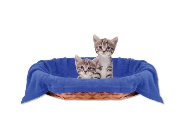 Bestlivings Tierdecke Katzendecke Mikrofaser 60 x 80 cm Blau
