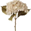 Boltze Stielblume Hortensie 52 cm x 25 cm x 9 cm Natur
