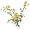 Boltze Stielblume Kamille 3 cm x 10 cm x 48 cm Grün