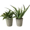 Boltze Topfpflanze Aloe Vera 2-fach Sortiert 50 cm x 15 cm x 50 cm Grün
