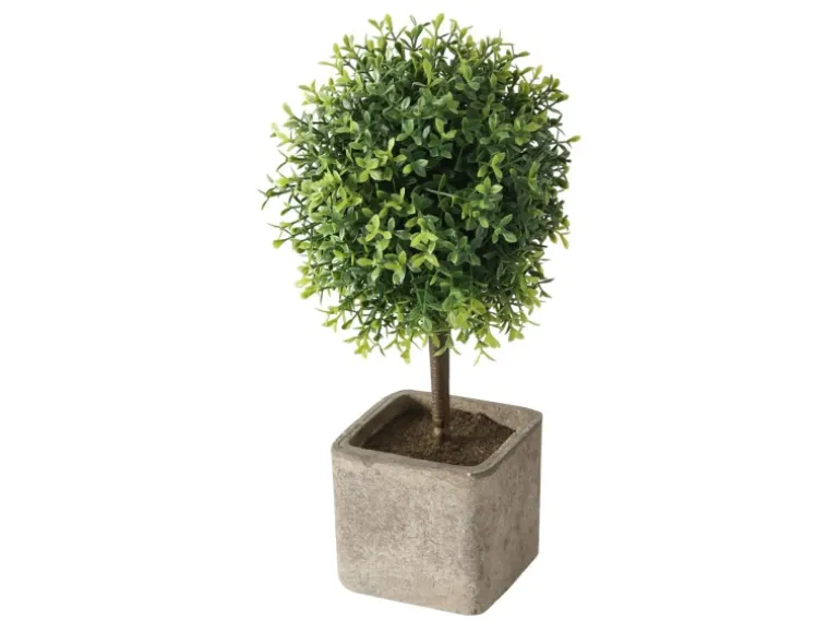Boltze Topfpflanze Amos 2-fach Sortiert 26 cm x 12 cm x 26 cm Grün