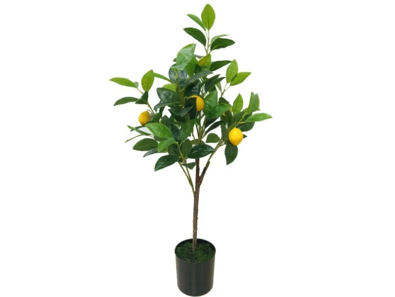 Boltze Topfpflanze Lemon Klein XS Grün-Gelb