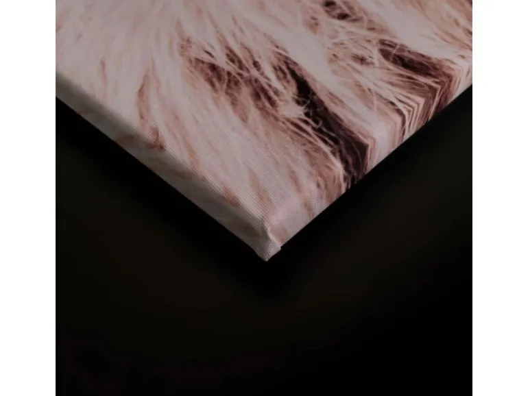 Bricoflor Bild Leinwand Schottisches Hochlandrind Weiß Beige Kuh Wandbild Im Modernen Landhausstil Leinwandbild Für Esszimmer