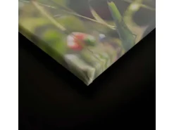 Bricoflor Leinwandbild Mit Mohnblumen In Sonne Wandbild Mit Blumenwiese Auf Leinwand Im Landhausstil Für Küche In 90 X 60 Cm