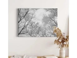 Bricoflor Schwarz Weiß Wald Bild Auf Leinwand Baumkrone Bild Mit Himmel Für Schlafzimmer Und Flur Wandbild Mit Bäumen Auf Keilrahmen