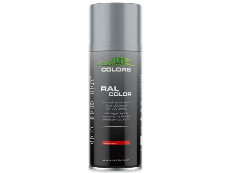 COLORS Sprühlack 400ml RAL7001 Silbergrau Glanz