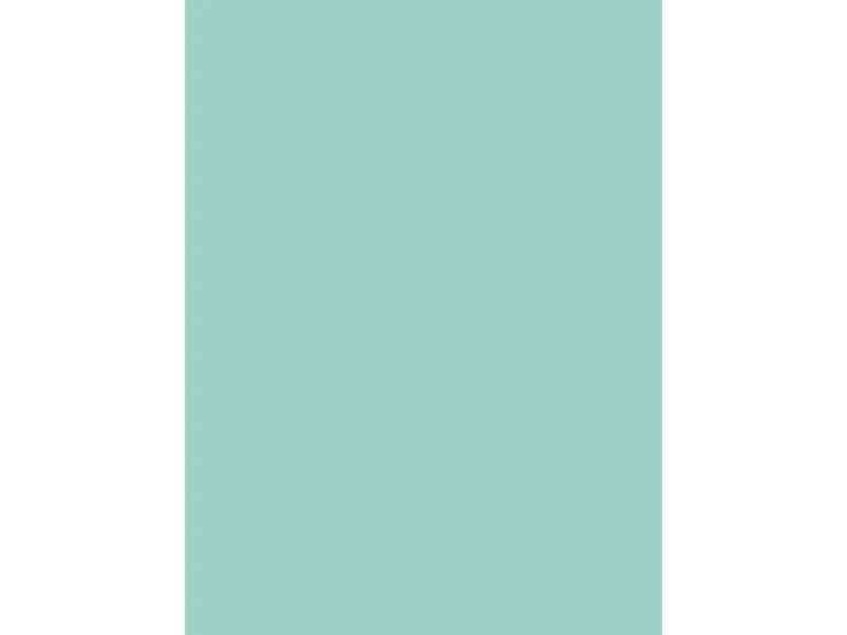 d-c-fix Selbstklebefolie Uni Lack mint 45cm x 2m
