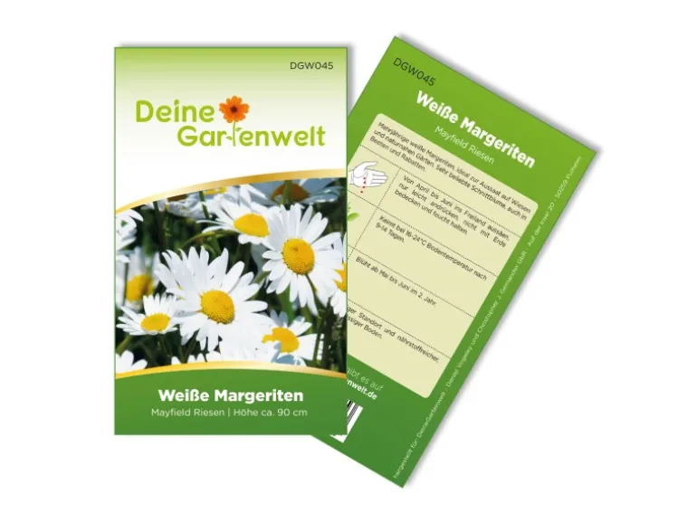 Deine Gartenwelt Margerite Weiß Samen