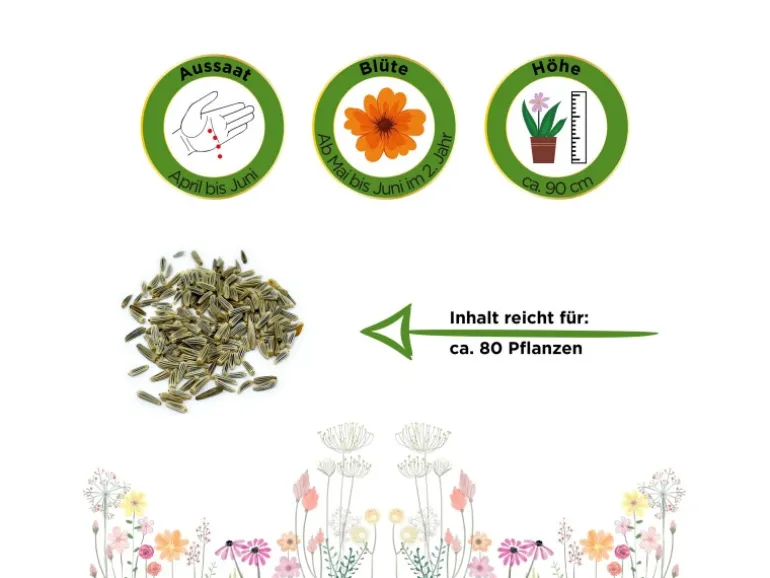 Deine Gartenwelt Margerite Weiß Samen