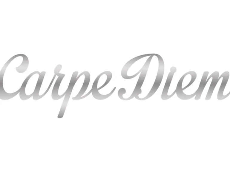 Dekoschriftzug Carpe Diem 70 cm x 25 cm