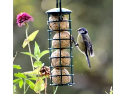 Dobar Futterspender mit 4 Meisenknödeln für Wildvögel 7 cm x 7 cm x 20 cm Grün