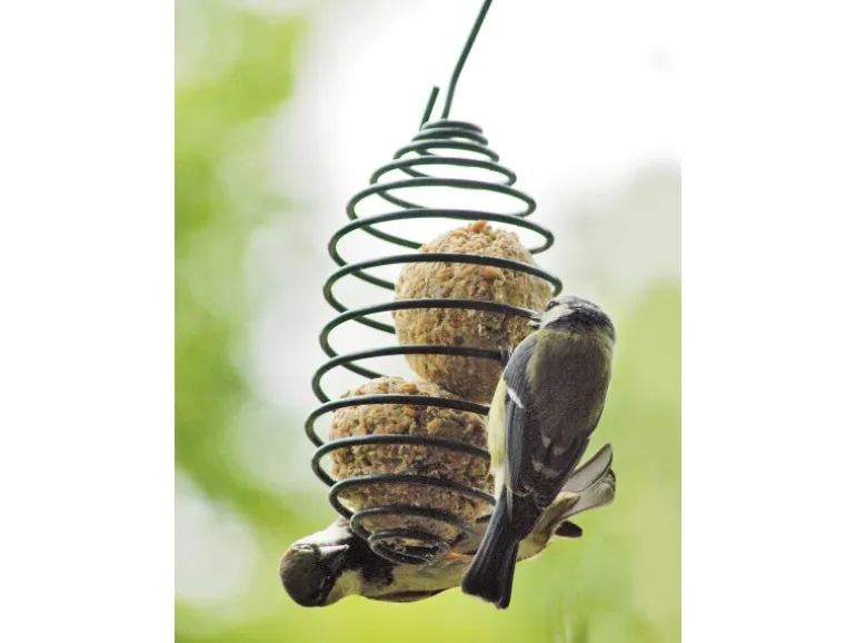 Dobar Vogelfutterfeder