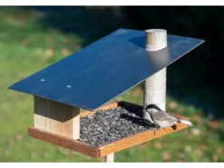 Dobar Vogelfutterhaus Futura mit Futterstation für Wildvögel 24 cm x 22 cm Holz