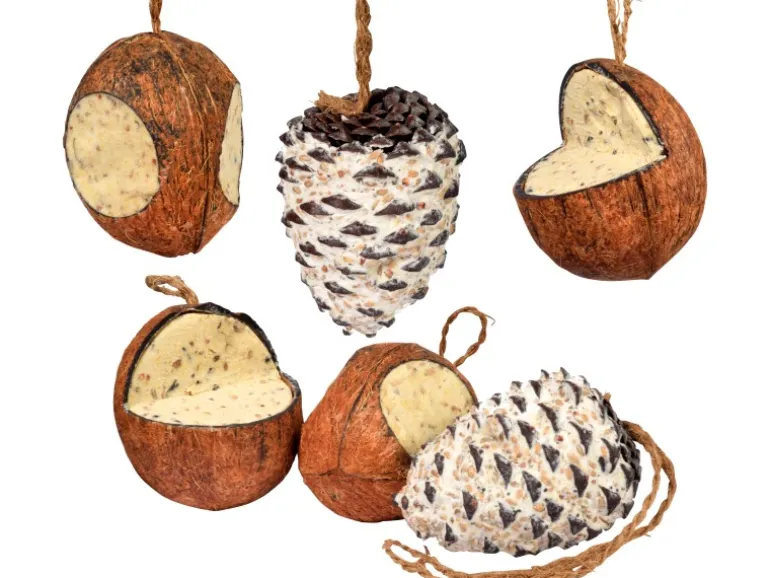 Dobar Vogelfutter-Mix 4 x gefüllte Kokosnuss und 2 x Riesenzapfen mit Fettfutter