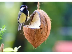 Dobar Vogelfutter-Mix 4 x gefüllte Kokosnuss und 2 x Riesenzapfen mit Fettfutter