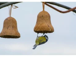 Dobar Vogelfutter-Mix 8x gefüllte Futterglocken mit Fettfutter