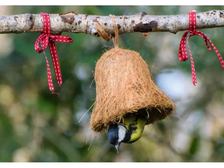 Dobar Vogelfutter-Mix 8x gefüllte Futterglocken mit Fettfutter