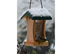 Dobar Vogelfutterstation mit Acrylglas-Futtersilo 16 cm x 16 cm x 24 cm Grün