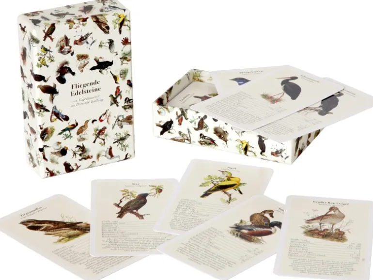 Dobar Vogelquartett Fliegende 9,3 cm x 13,4 cm x 3,5 cm Edelstein