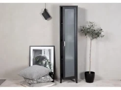 ebuy24 Acero Vitrinenschrank 1 Tür 4 Ablagen Schwarz