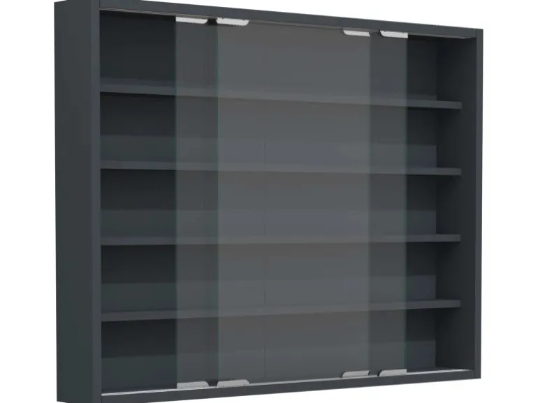 ebuy24 AgisaL Glasvitrinen Wandhängend 2 Schiebetüren Anthrazit