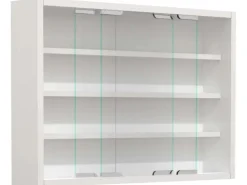 ebuy24 AgisaM Glasvitrinen Wandhängend 2 Schiebetüren Weiß
