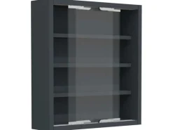 ebuy24 AgisaS Glasvitrinen Wandhängend 2 Schiebetüren Anthrazit